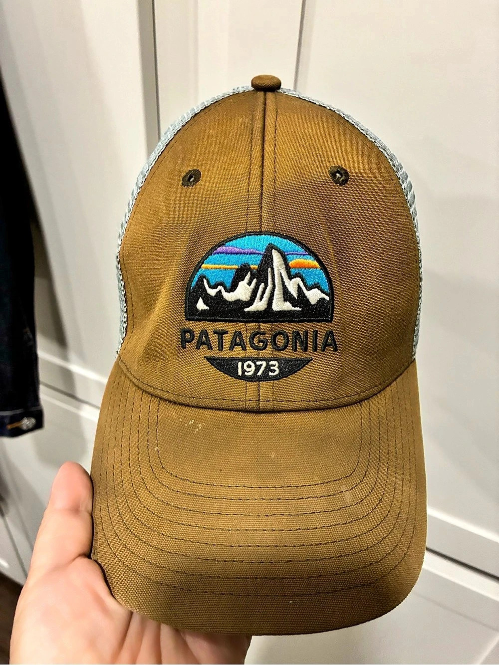 Patagonia '73 Skyline Trucker Hat Trucker Hat in Brown & Gray